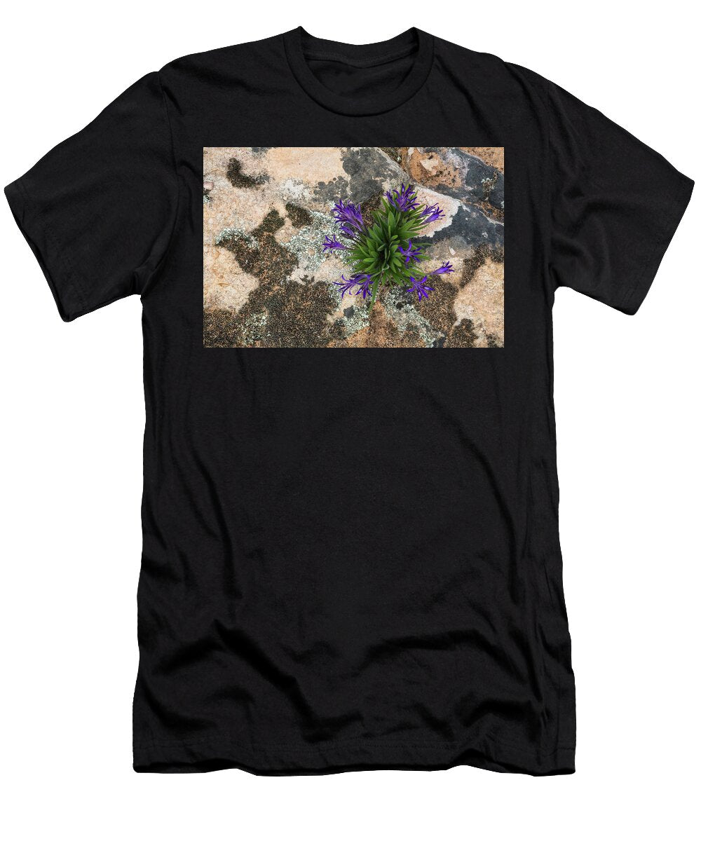 Babiana Sp Cederberg Mountains Western Cape South Ann Steve Toon Natureplcom T-Shirt