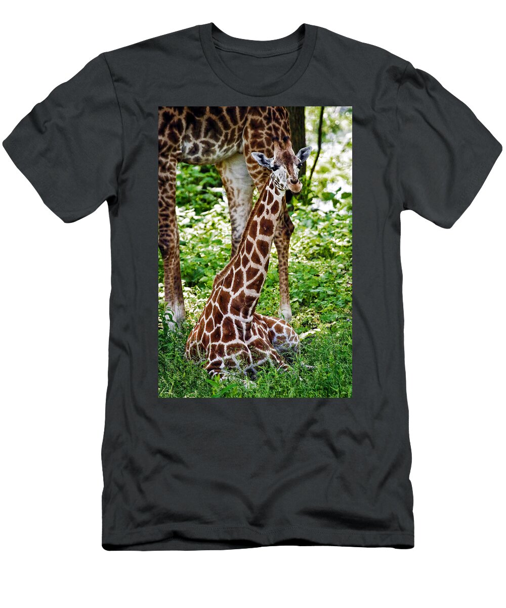 Baby Giraffe Marcia Colelli T-Shirt