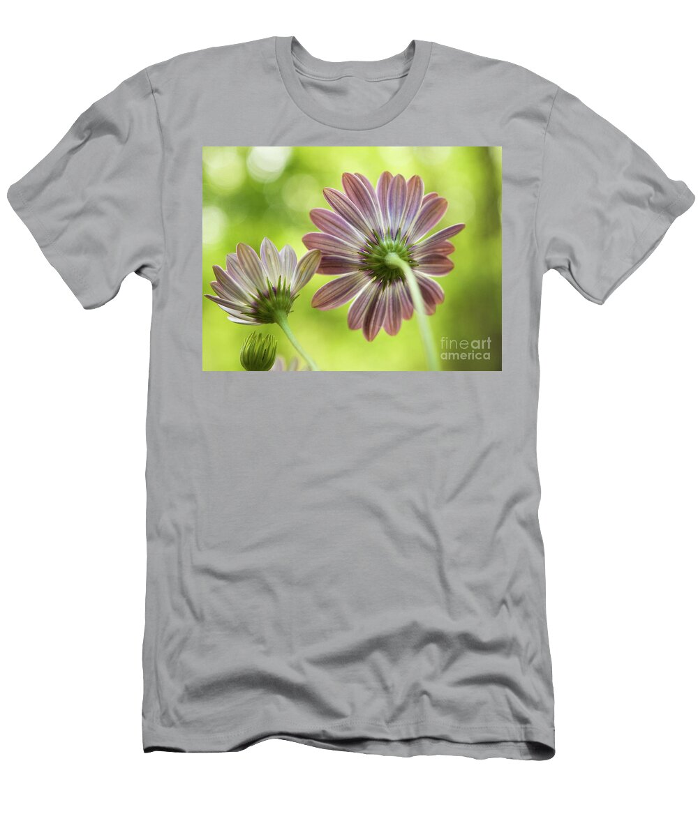 Back View Dorothy Lee T-Shirt