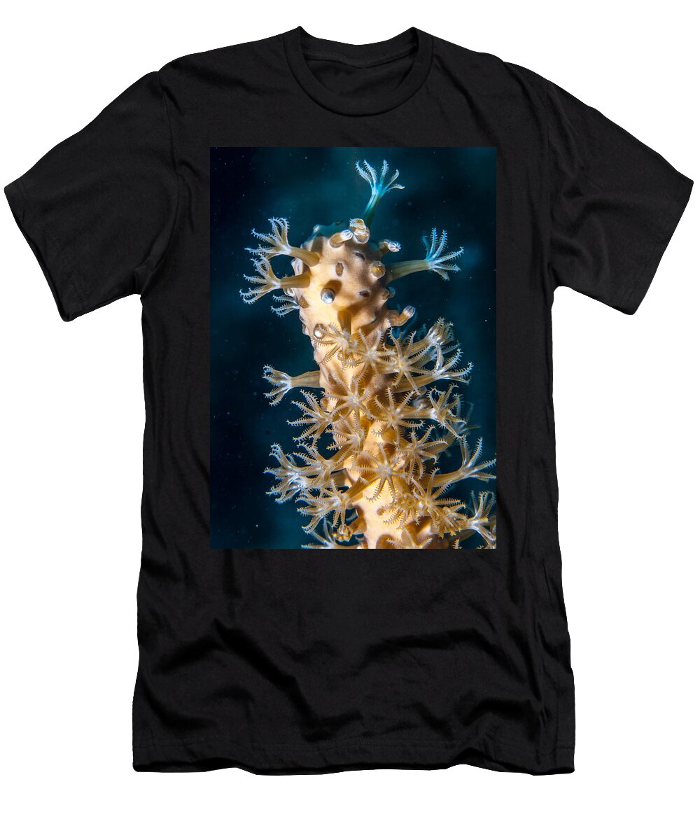 Bad Polyp Day Jean Noren T-Shirt