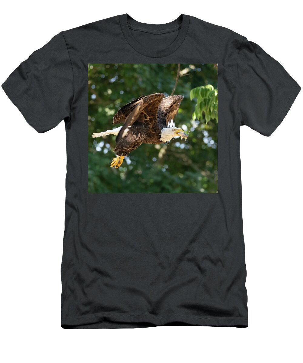 Bald Eagle Lenin Ramachandran T-Shirt