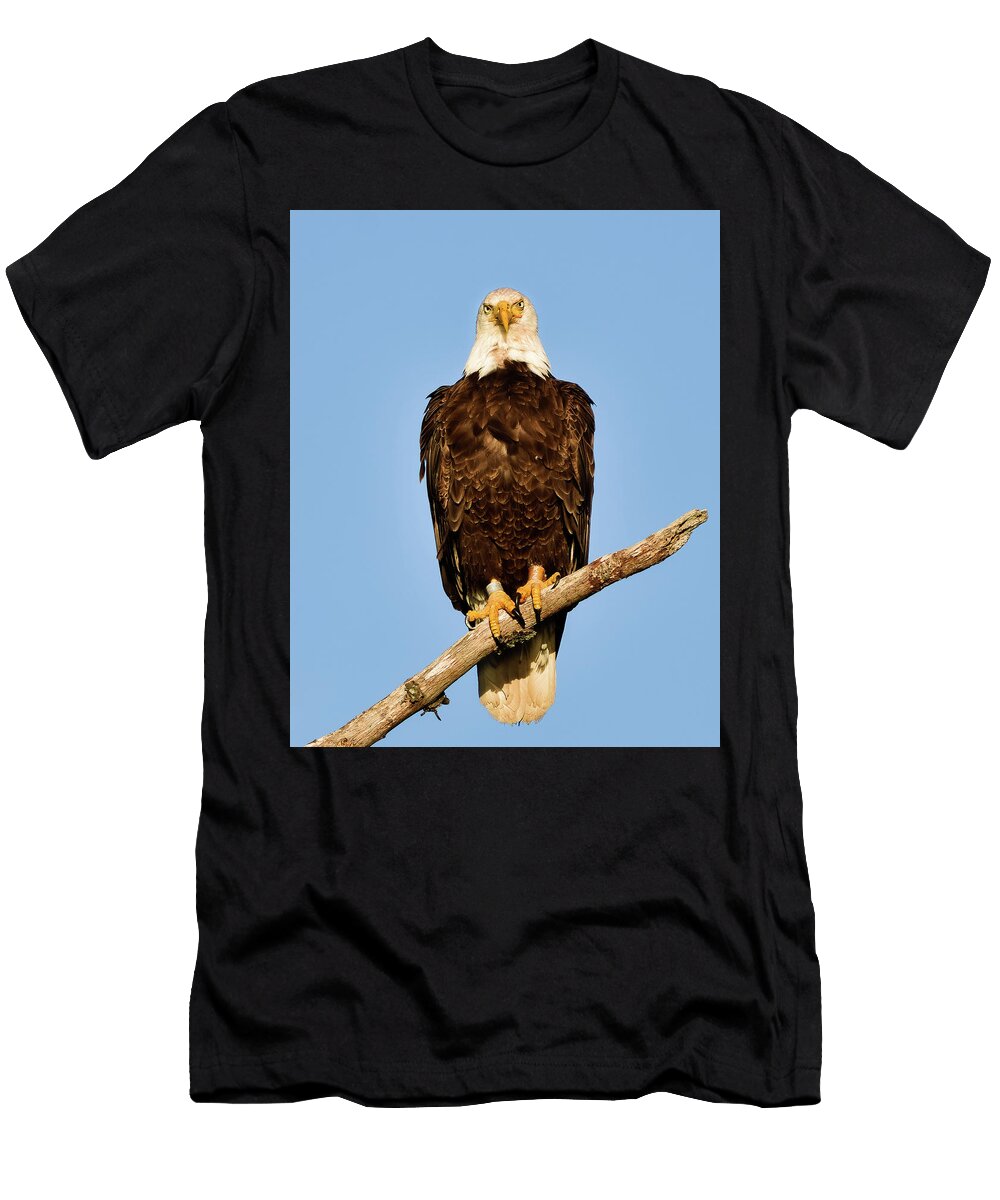 Bald Eagle Looking At You Lenin Ramachandran T-Shirt