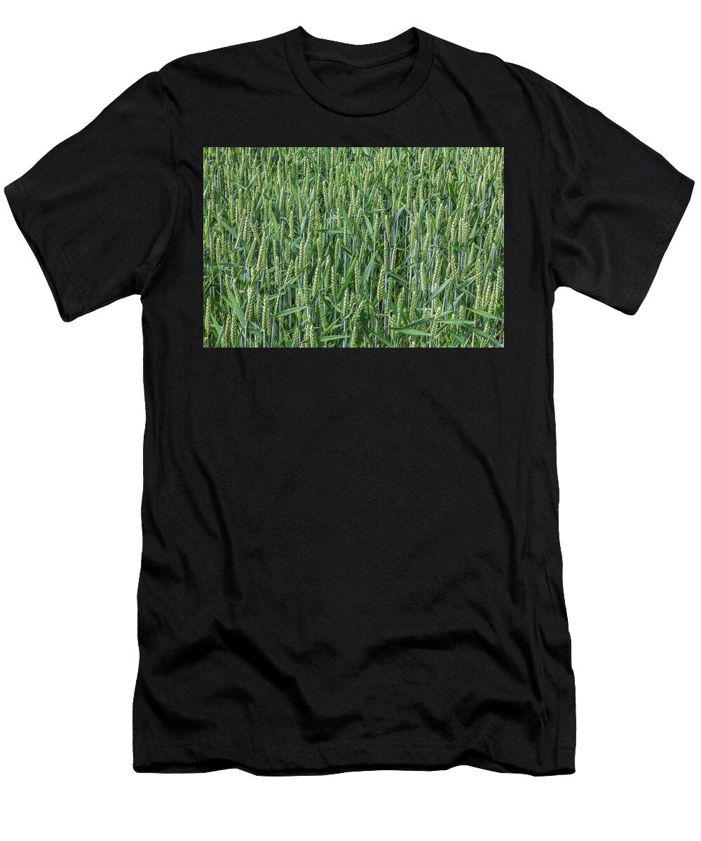 Barley Crop Northumberland UK Ann Steve Toon Natureplcom T-Shirt