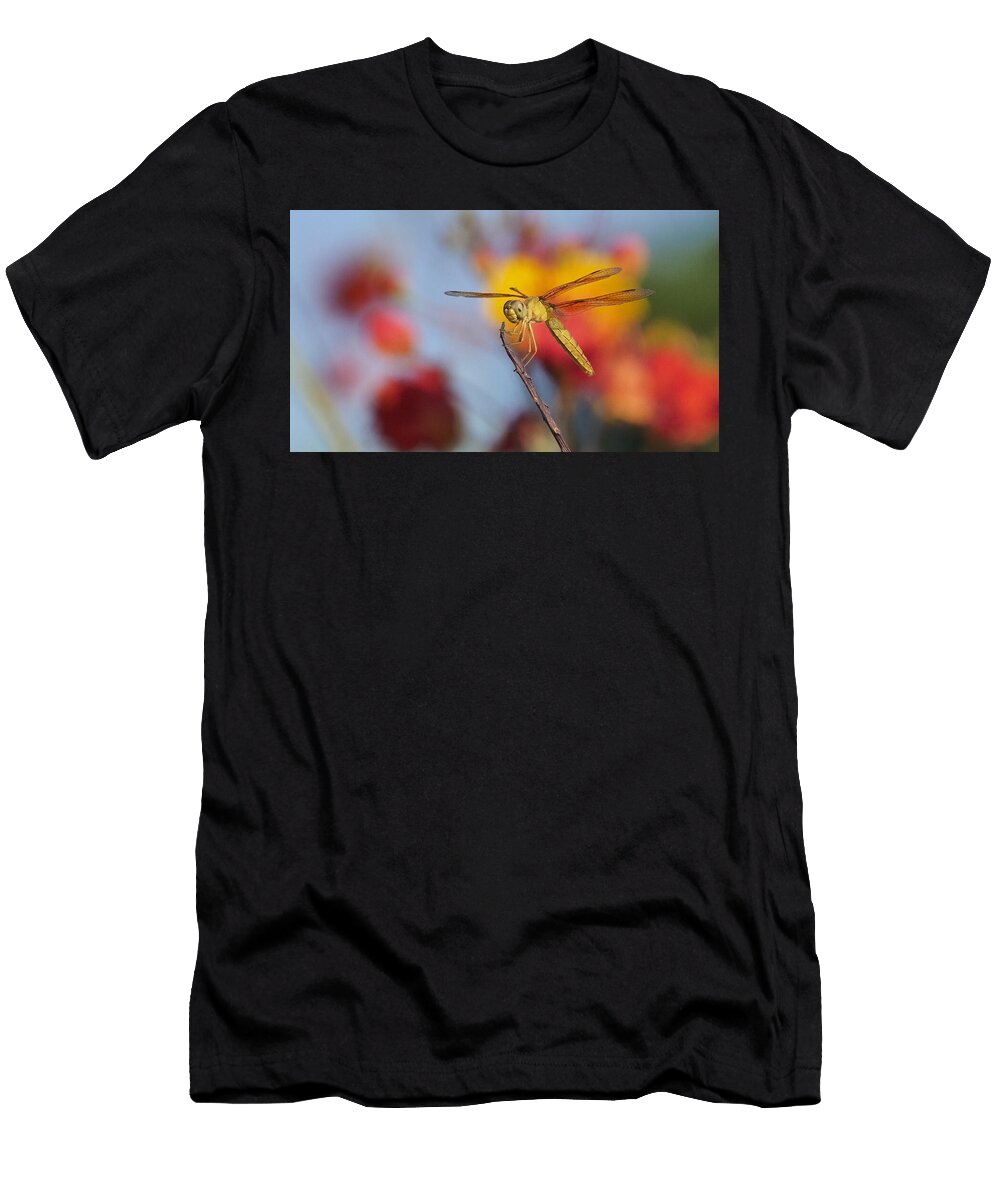 Being Mysalf Vlad Georgescu T-Shirt