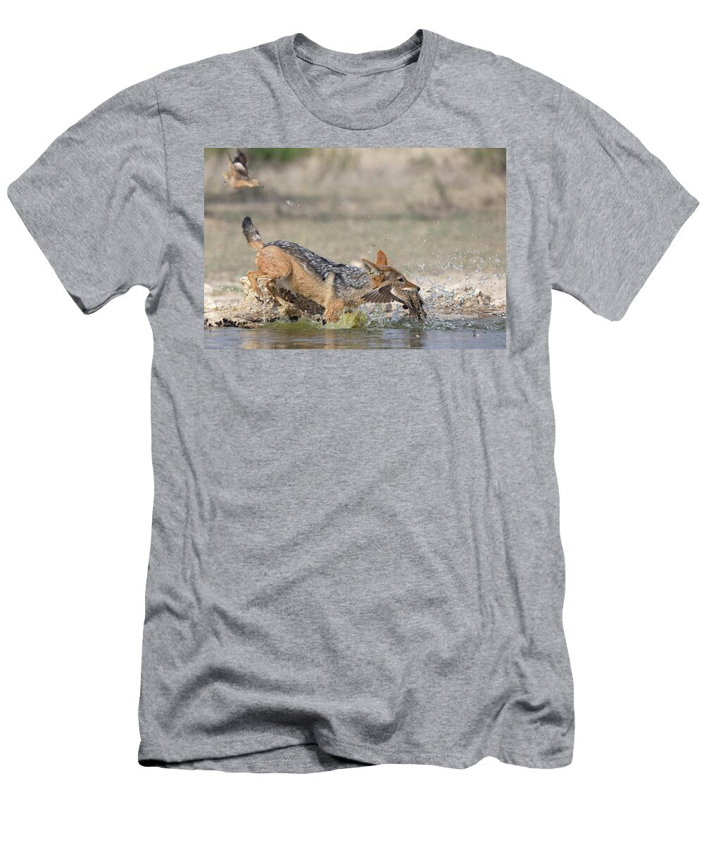 Black Backed Jackal Catching Burchells Sandgrouse Prey At Ann Steve Toon Natureplcom T-Shirt