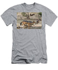 Black Backed Jackal Hunting Burchells Sandgrouse Prey At Ann Steve Toon Natureplcom T-Shirt