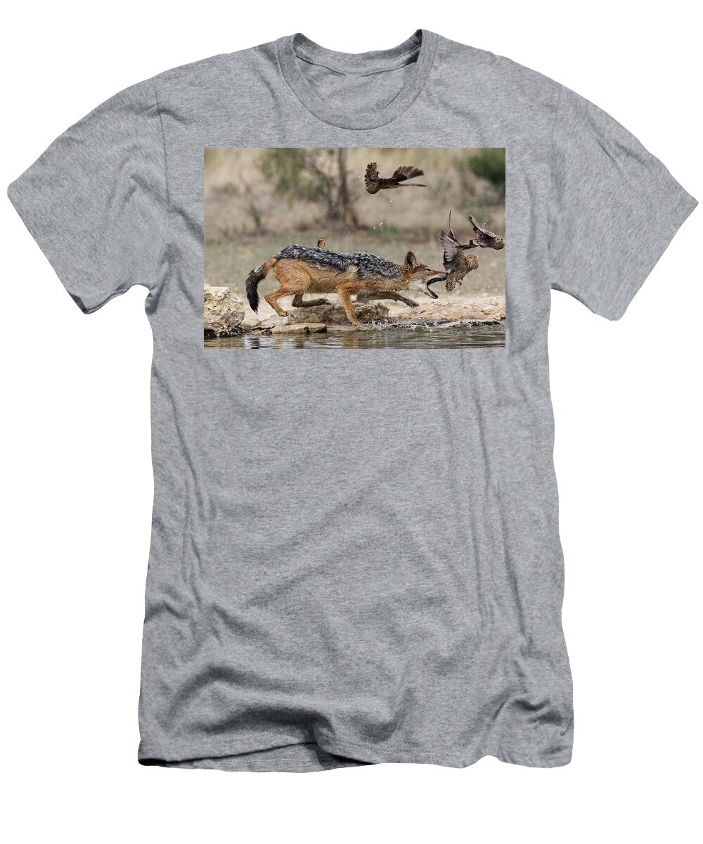Black Backed Jackal Hunting Burchells Sandgrouse Prey At Ann Steve Toon Natureplcom T-Shirt