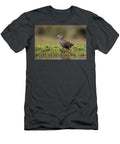 Black Crake Immature Zimanga Private Game Reserve Ann Steve Toon Natureplcom T-Shirt