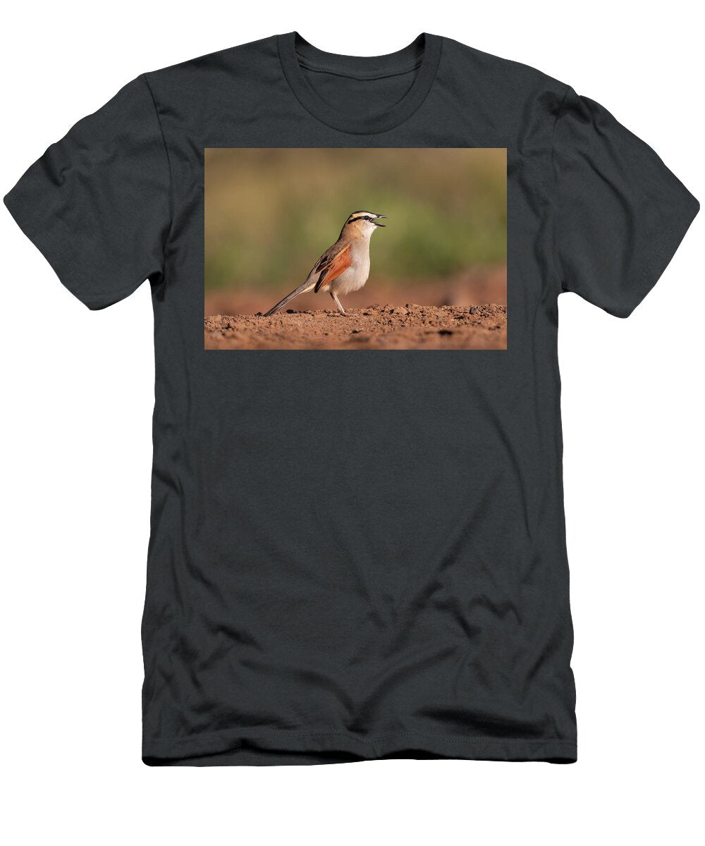 Black Crowned Tchagra Calling Zimanga Game Reserve Ann Steve Toon Natureplcom T-Shirt