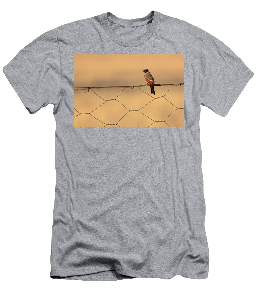 Black Faced Waxbill Perched on Wire Fence At Dusk Ann Steve Toon Natureplcom T-Shirt