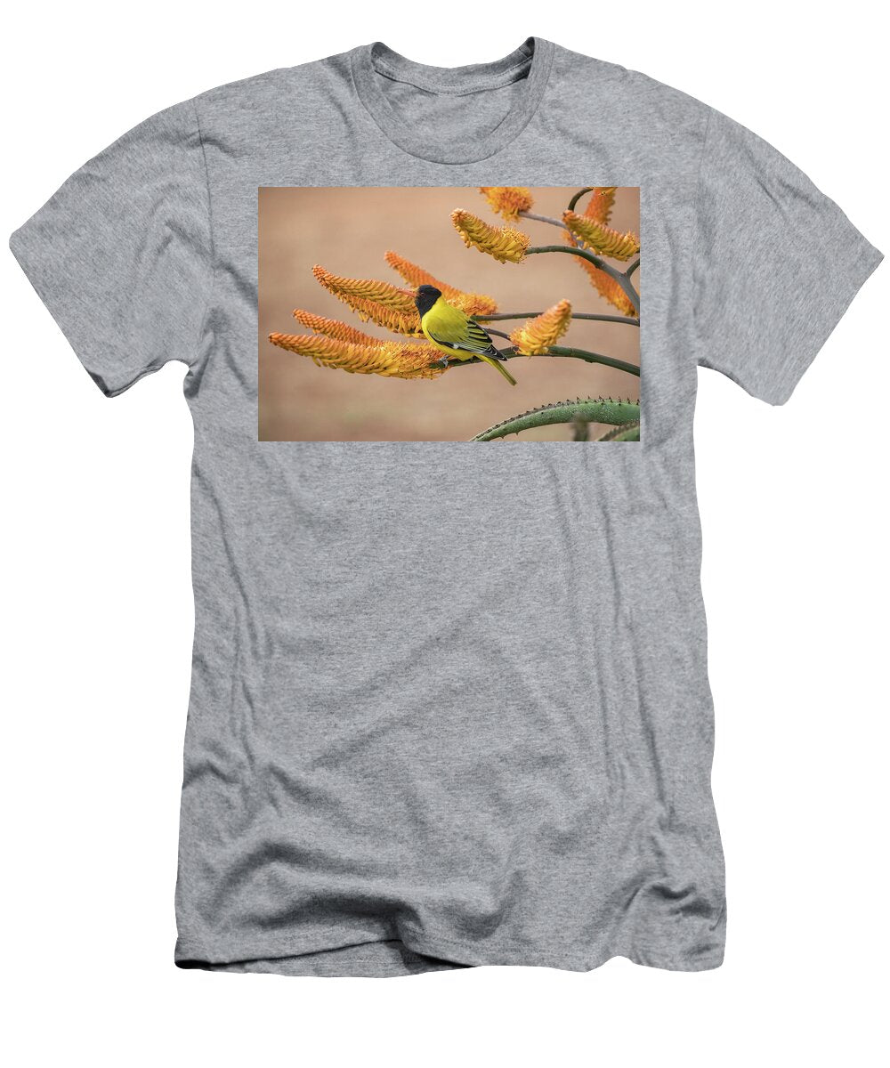 Black Headed Oriole Perched on Aloe Flowers Zimanga Game Ann Steve Toon Natureplcom T-Shirt