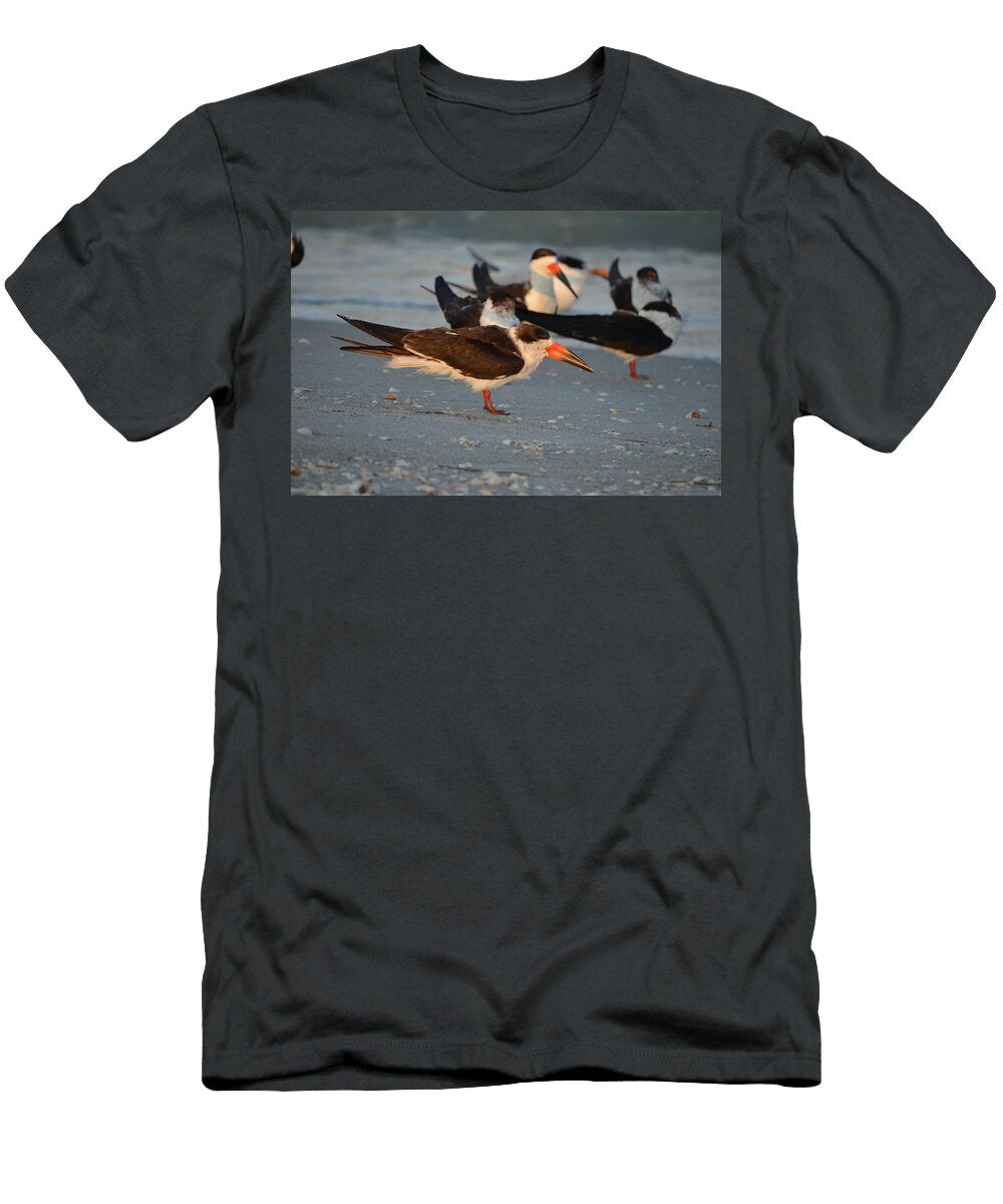 Black Skimmer James Petersen T-Shirt