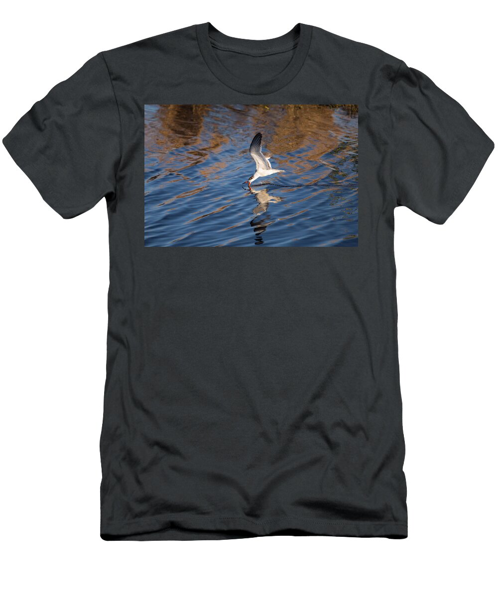 Black Skimmer on the Hunt John Bailey T-Shirt
