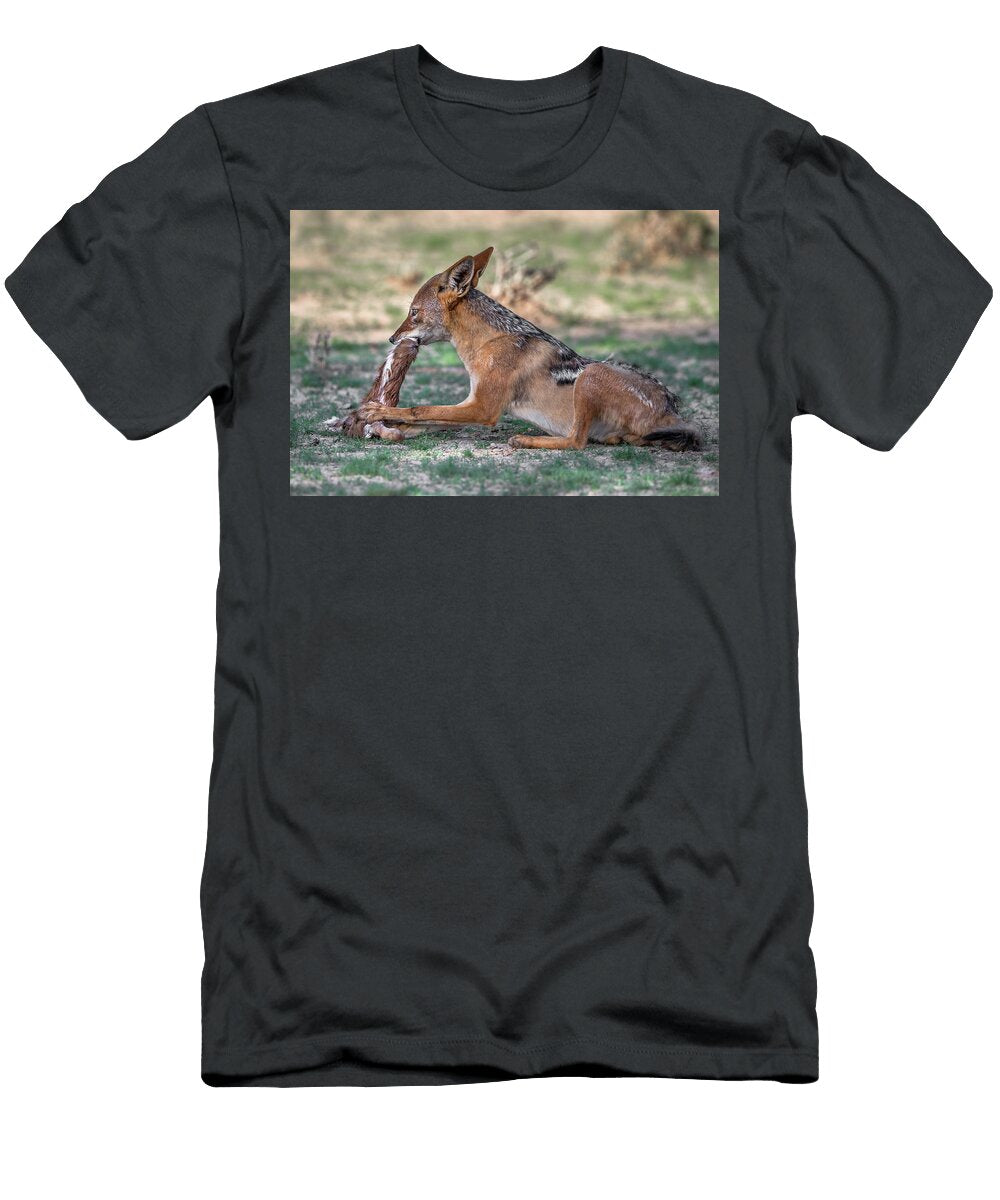 Blackbacked Jackal Eating Carrion Kgalagadi Transfrontier Ann Steve Toon Natureplcom T-Shirt