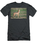 Blackbacked Jackal Howling Kgalagadi Transfrontier Park Ann Steve Toon Natureplcom T-Shirt