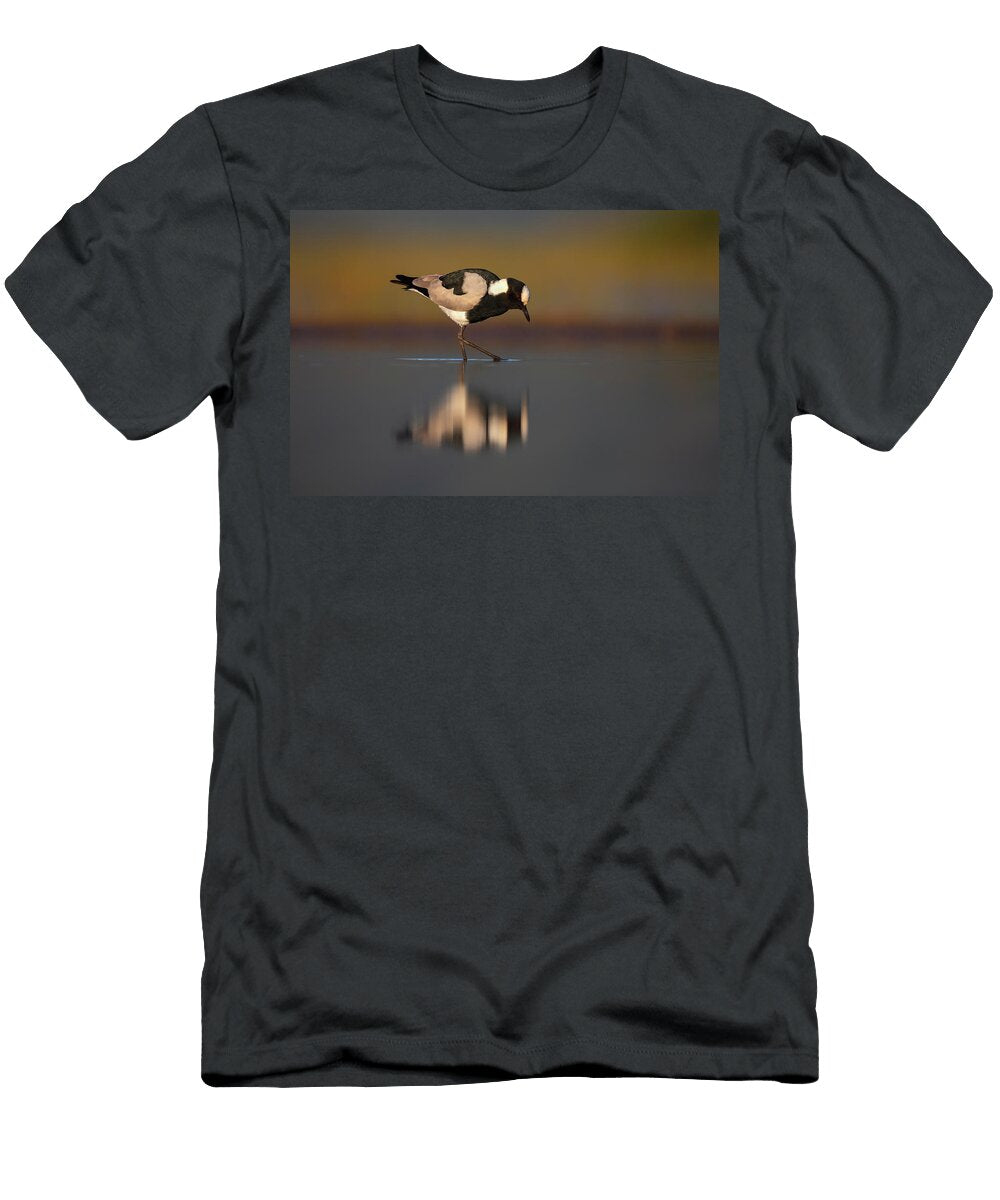 Blacksmith Lapwing Wading in Shallow Water Zimanga Game Ann Steve Toon Natureplcom T-Shirt