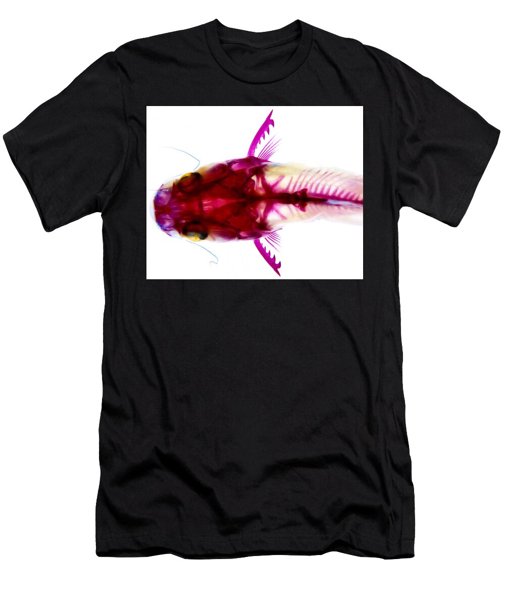 Blue Catfish Noah Bressman T-Shirt