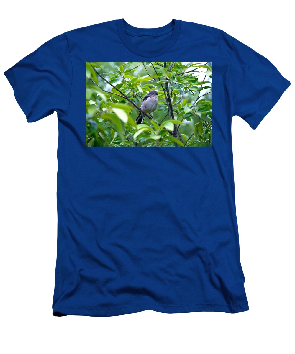 Blue Gray Gnatcatcher M E Wood T-Shirt