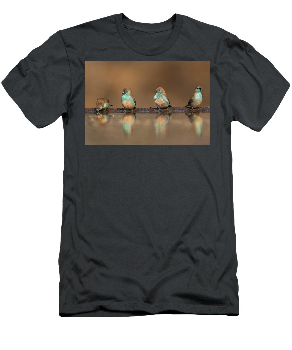Blue Waxbills At Water Zimanga Private Game Reserve Ann Steve Toon Natureplcom T-Shirt