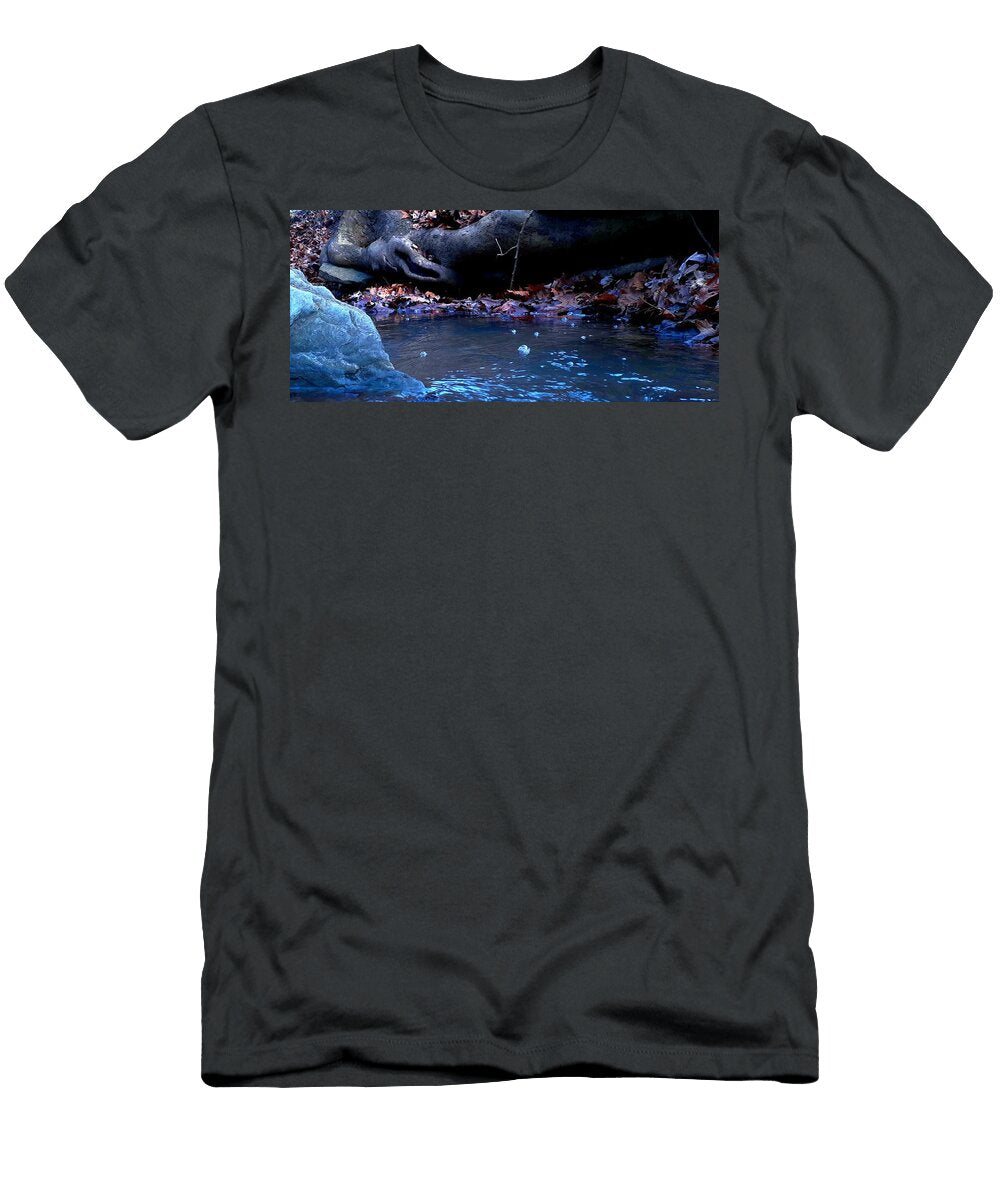 Bubbly Creek Bed Courtney Bennett T-Shirt