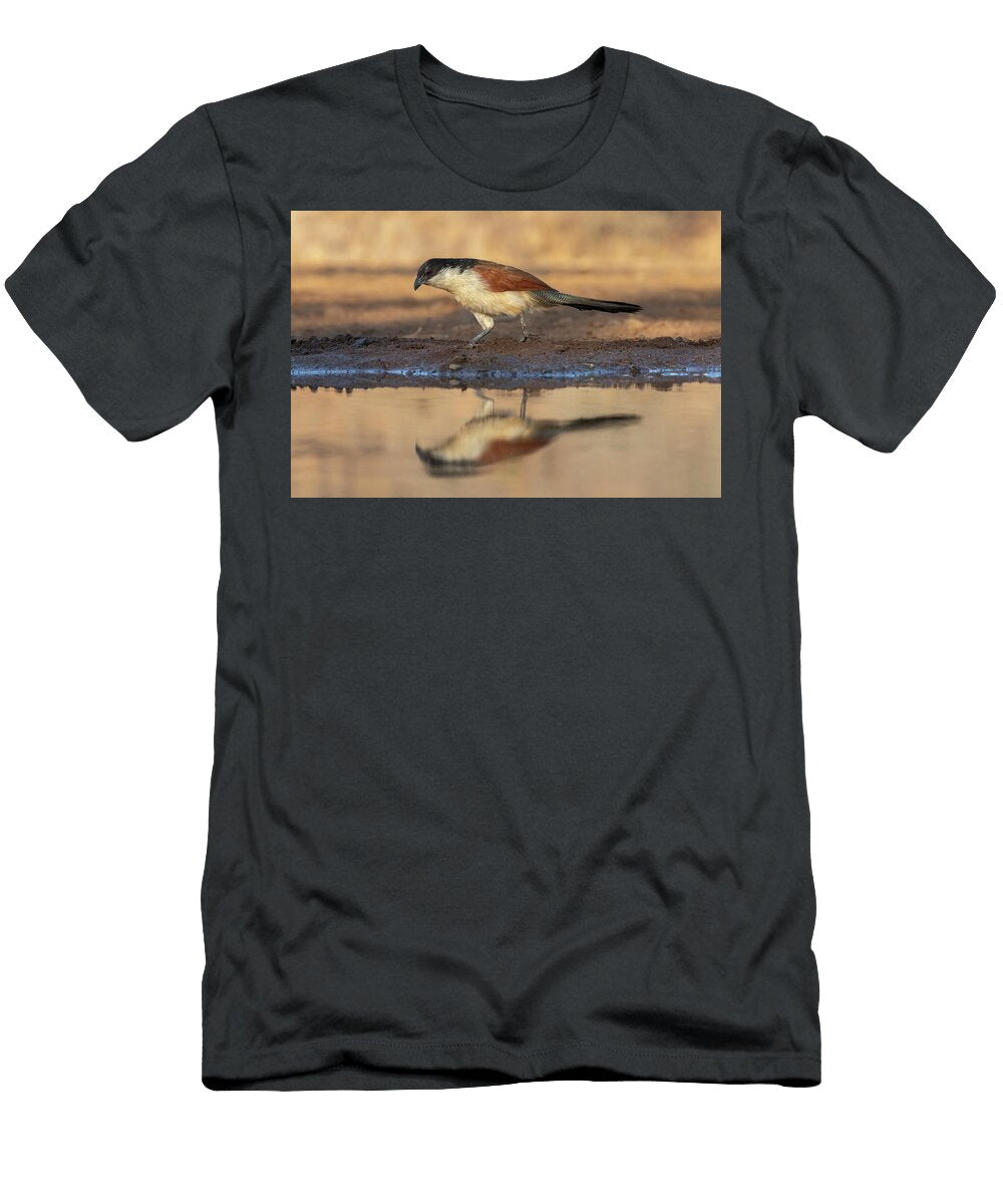 Burchells Coucal Zimanga Game Reserve South Ann Steve Toon Natureplcom T-Shirt