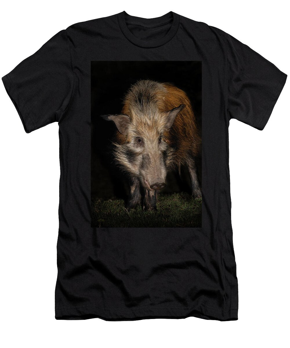 Bush Pig At Night Mpila Camp Imfolozi Game Reserve Ann Steve Toon Natureplcom T-Shirt