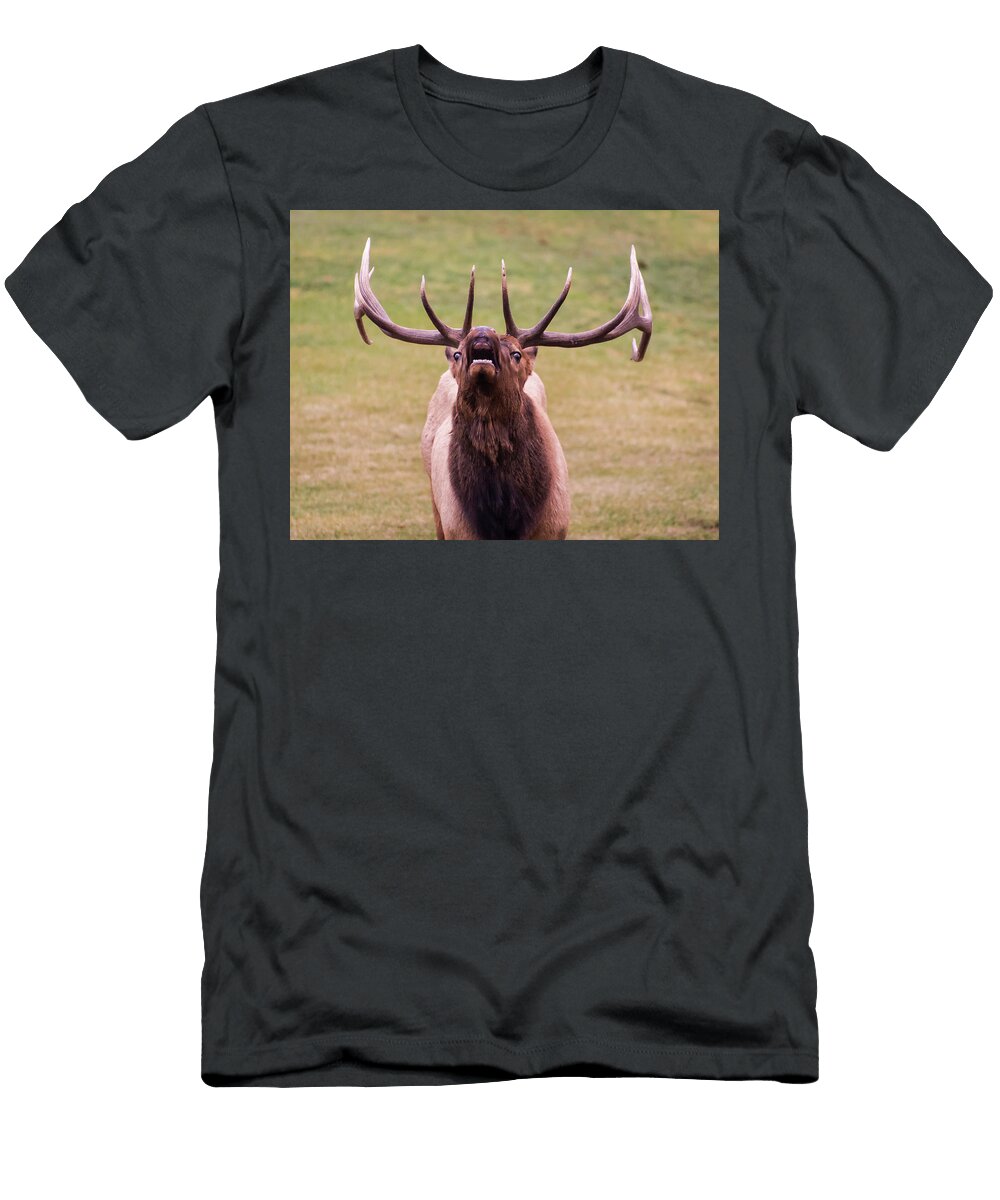 Call of the Wild Alex Lapidus T-Shirt
