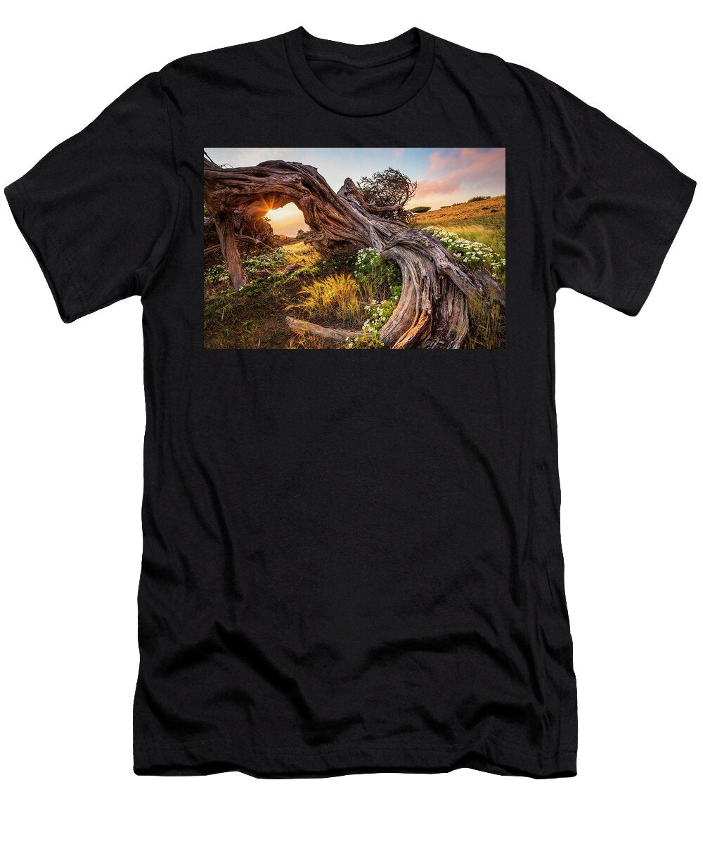 Canary Islands Juniper Tree Reinhard Schmid T-Shirt