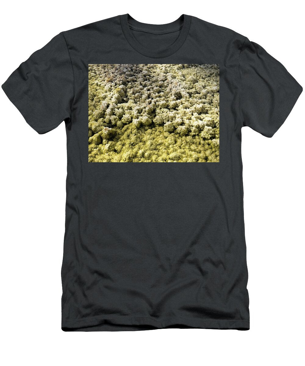 Canary Microorganisms David Choate T-Shirt