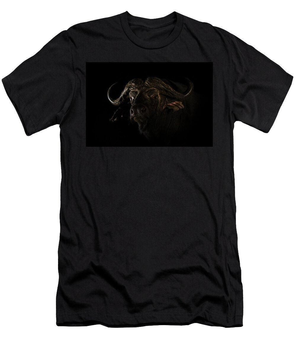 Cape Buffalo At Night Zimanga Private Game Reserve Ann Steve Toon Natureplcom T-Shirt