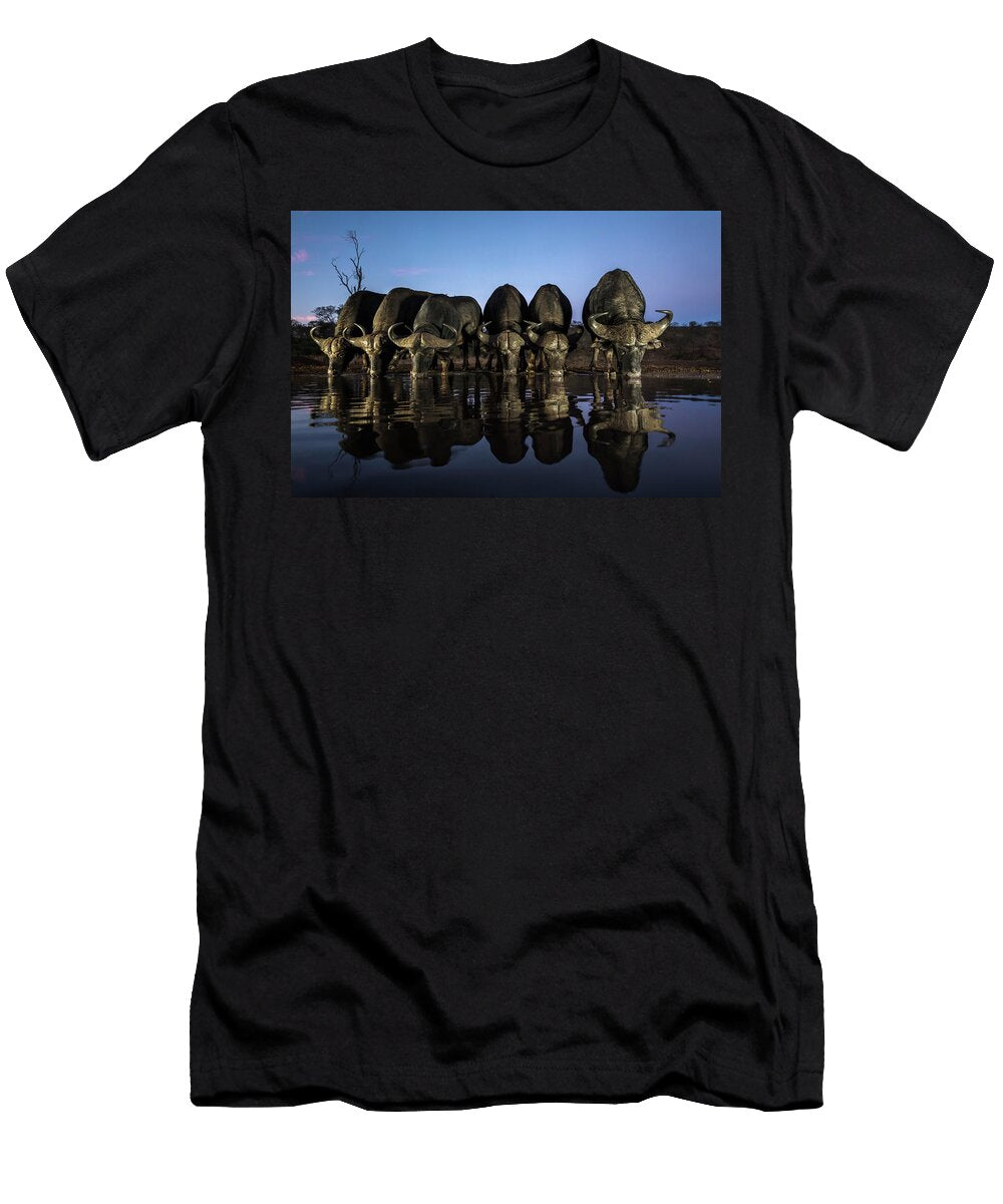 Cape Buffalo Drinking At Dusk Zimanga Private Game Ann Steve Toon Natureplcom T-Shirt
