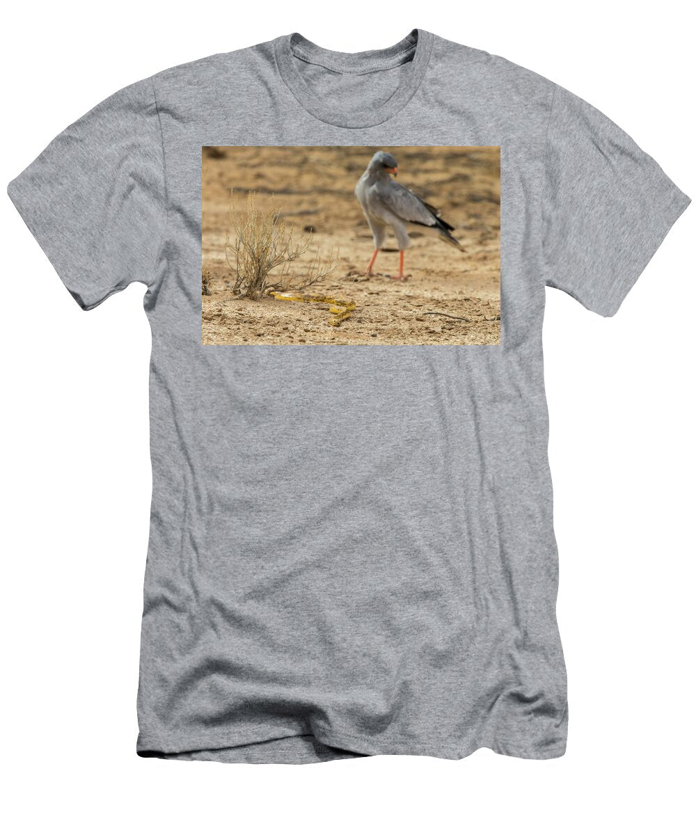 Cape Cobra Followed By Pale Chanting Goshawk Kgalagadi Ann Steve Toon Natureplcom T-Shirt