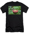 Cape Sugarbird on King Protea Kirstenbosch National Ann Steve Toon Natureplcom T-Shirt