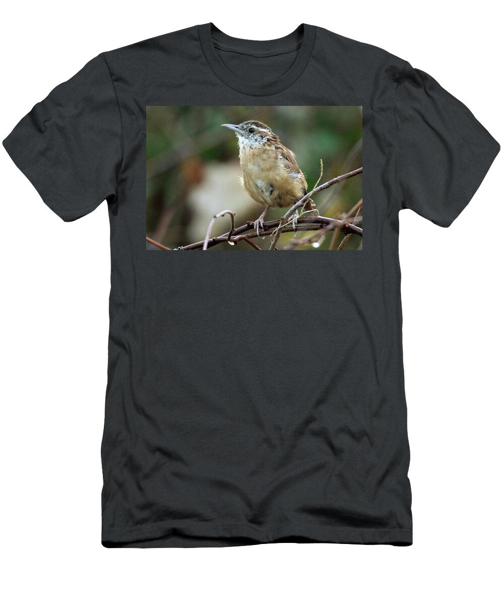 Carolina Wren Montauk New York Bob Savage T-Shirt
