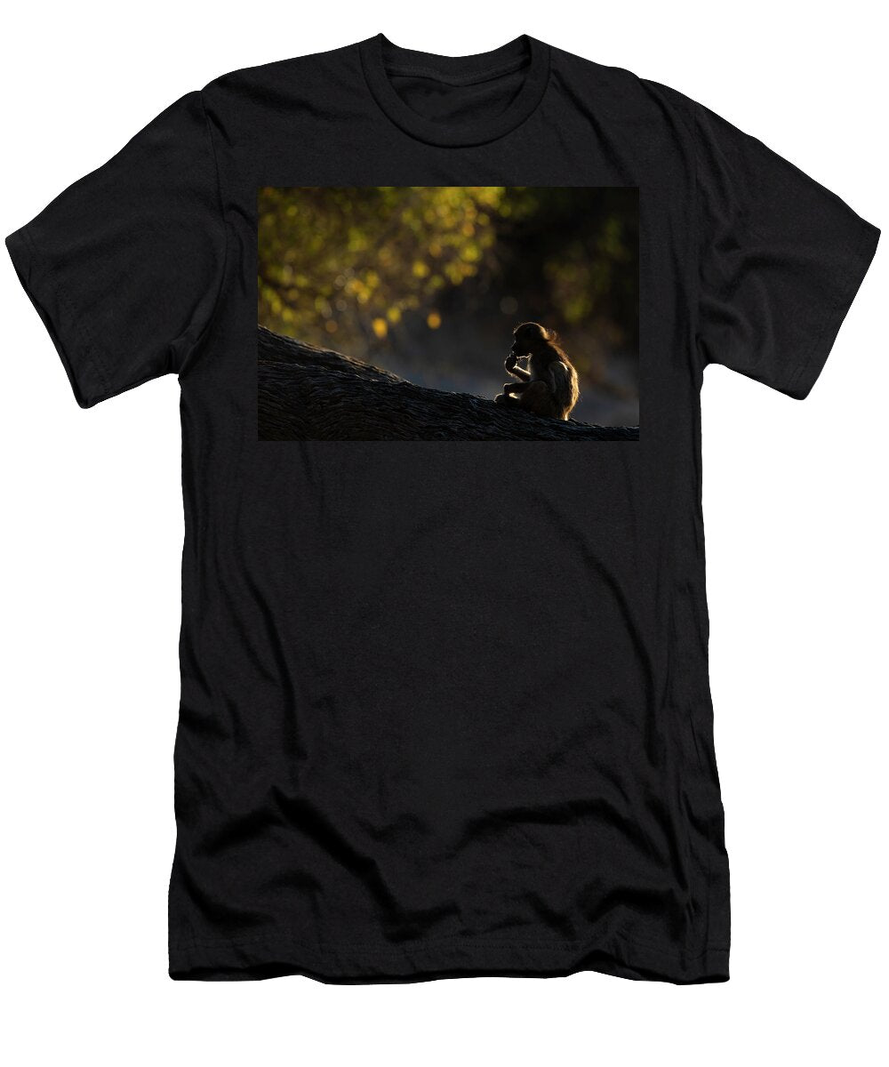 Chacma Baboon Sitting on Tree Branch Feeding Chobe Ann Steve Toon Natureplcom T-Shirt