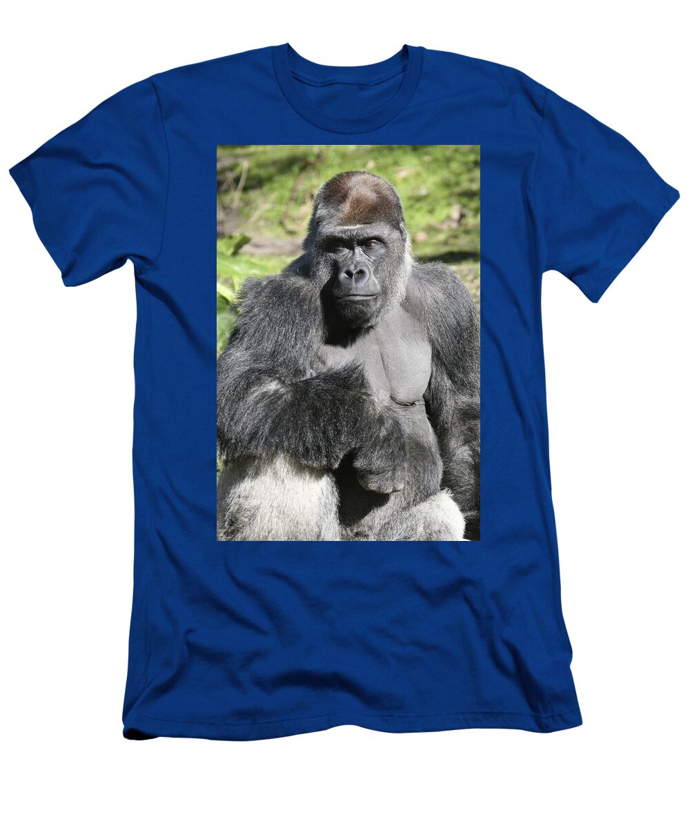 Chillin Gorilla Stuart Rosenthal T-Shirt