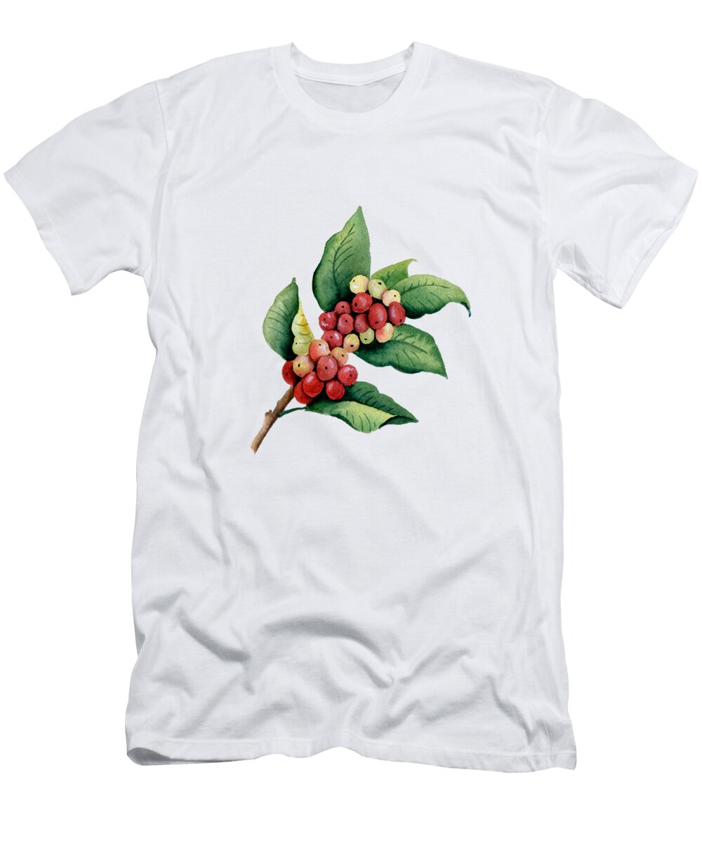 Coffee Plant D Rogers T-Shirt