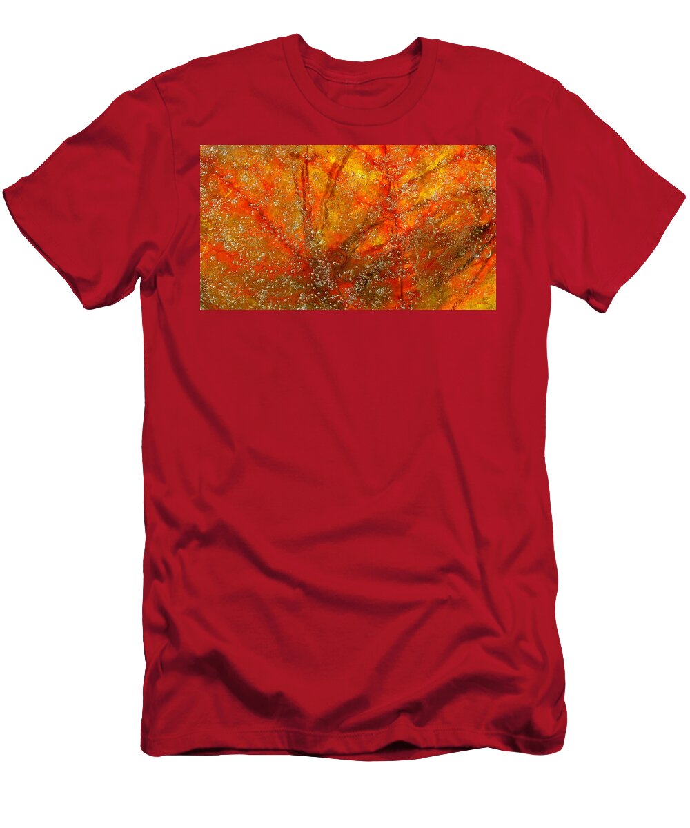 Colors of Nature 9 Sami Tiainen T-Shirt