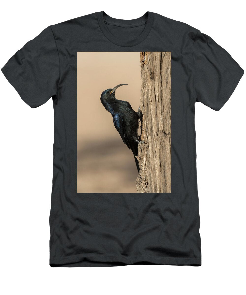 Common Scimitarbill on Tree Trunk Kgalagadi Transfrontier Ann Steve Toon Natureplcom T-Shirt