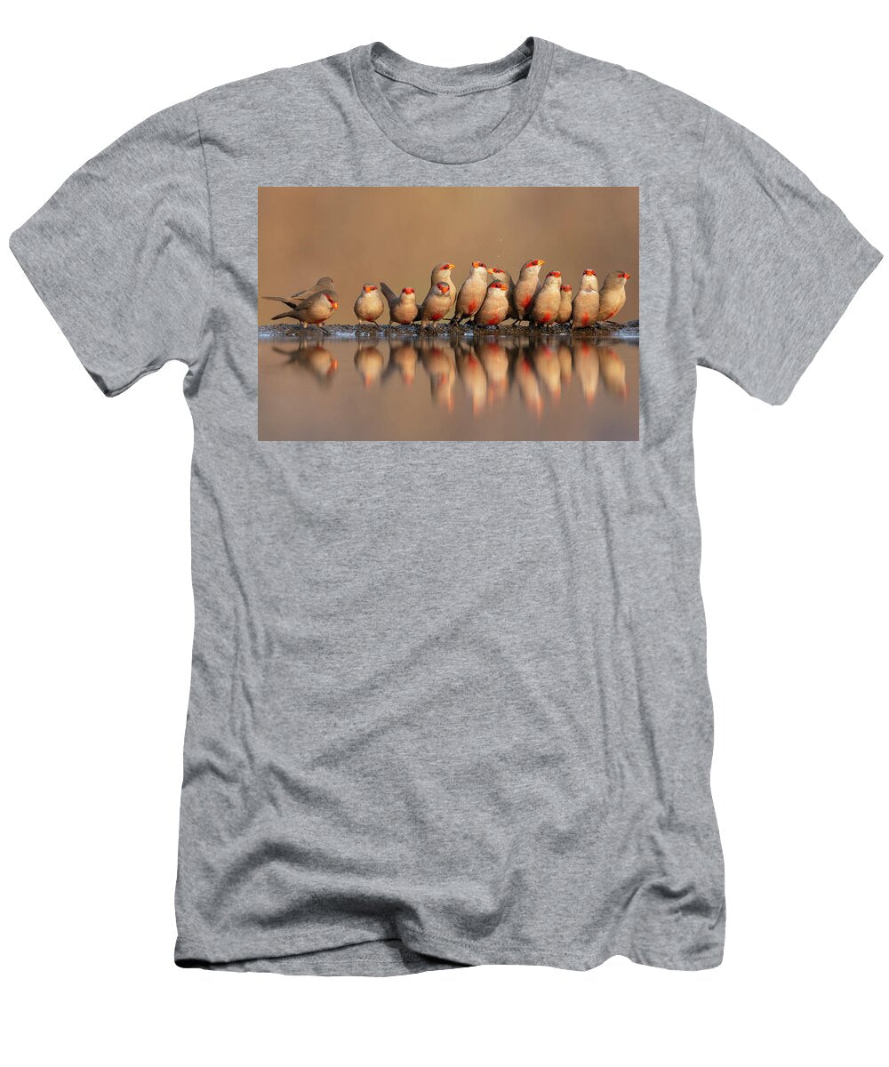 Common Waxbills At Water Zimanga Private Game Reserve Ann Steve Toon Natureplcom T-Shirt