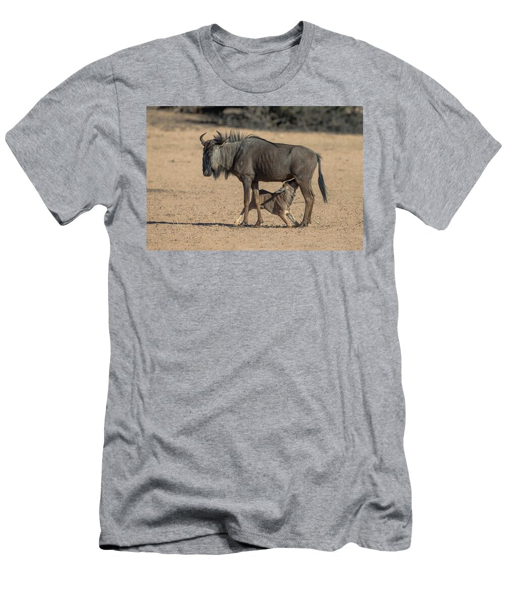 Common Wildebeest Suckling Calf Kgalagadi Transfrontier Ann Steve Toon Natureplcom T-Shirt