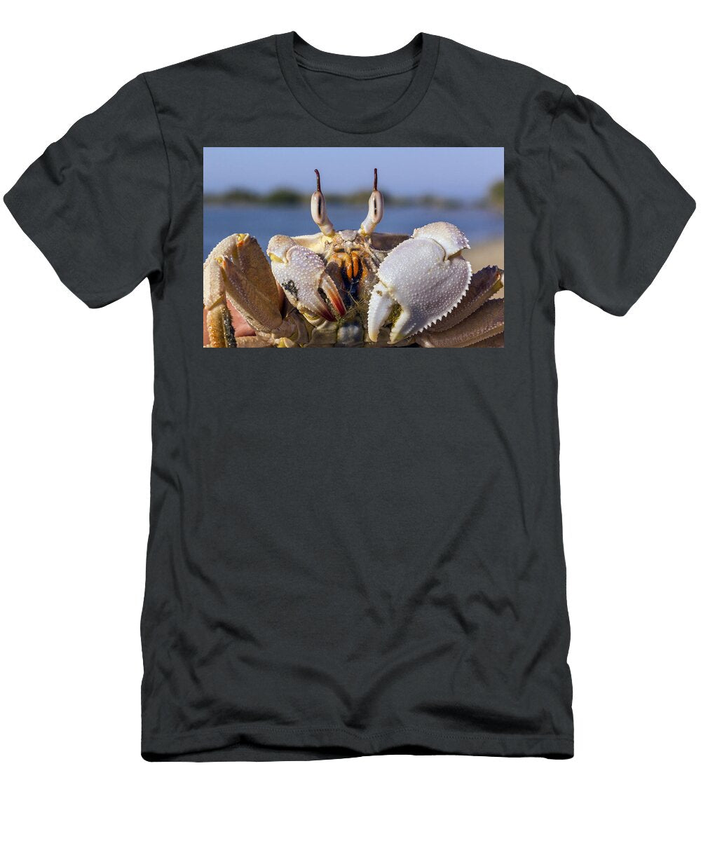 Crab Manfred Bortoli T-Shirt