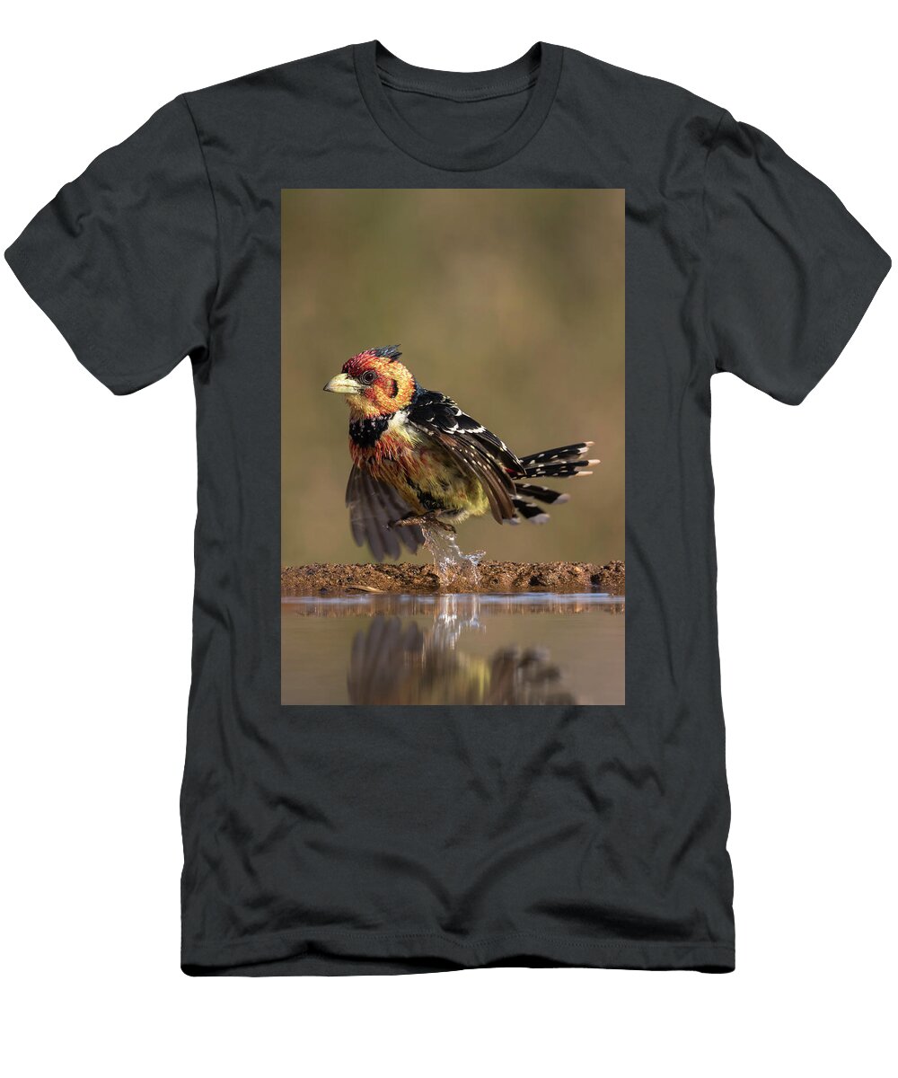 Crested Barbet Zimanga Private Game Reserve Ann Steve Toon Natureplcom T-Shirt