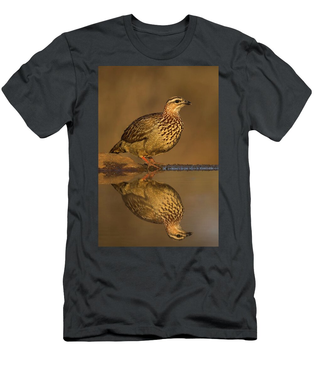 Crested Francolin Zimanga Private Game Reserve Ann Steve Toon Natureplcom T-Shirt