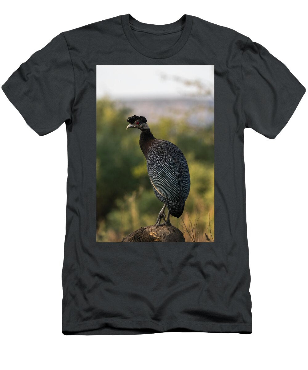 Crested Guineafowl Zimanga Game Reserve Kwazulu Natal Ann Steve Toon Natureplcom T-Shirt