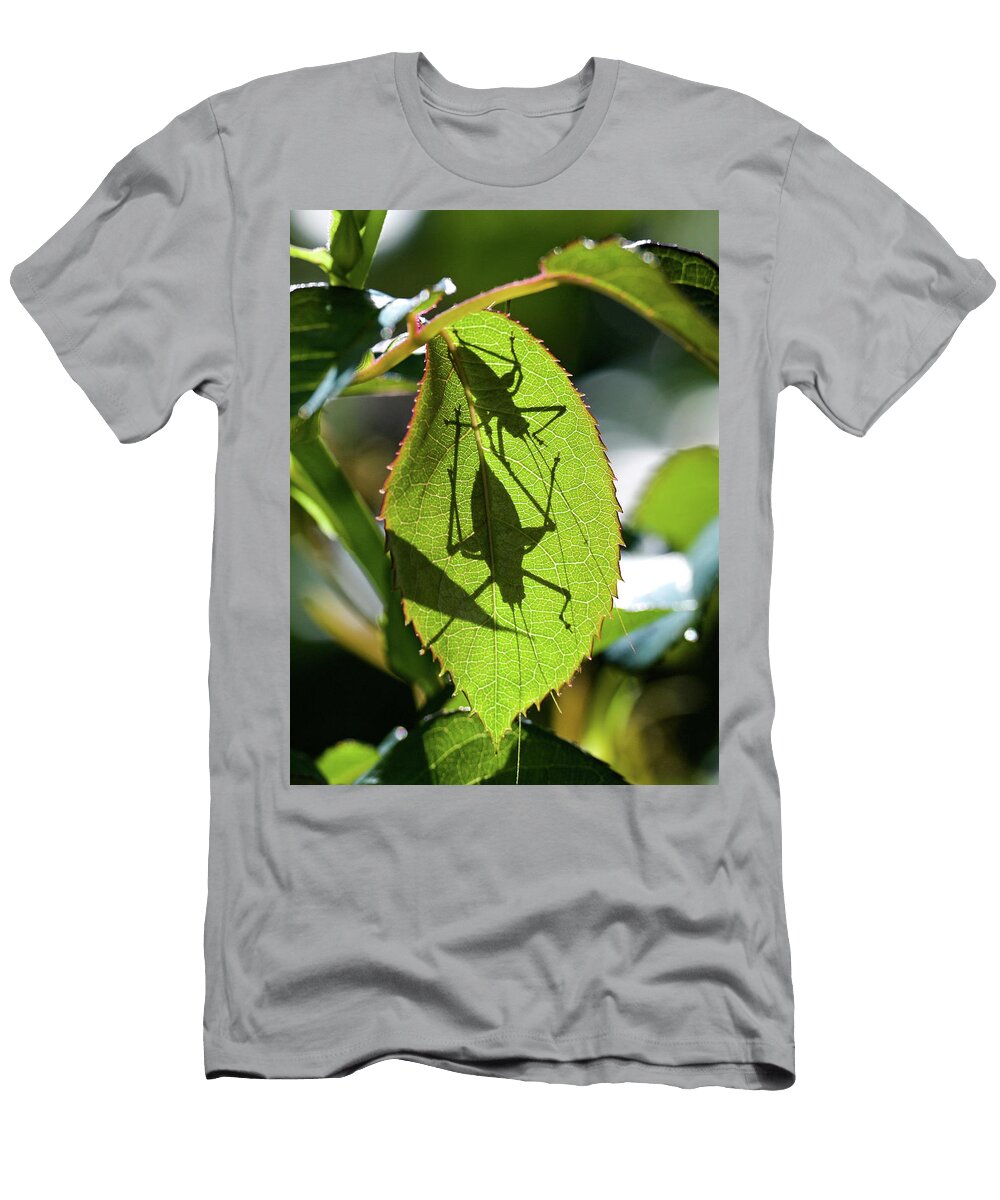 Crickets on Rose Leaf Simon Dack T-Shirt
