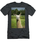 Curious Llama Jeremy Leonard T-Shirt