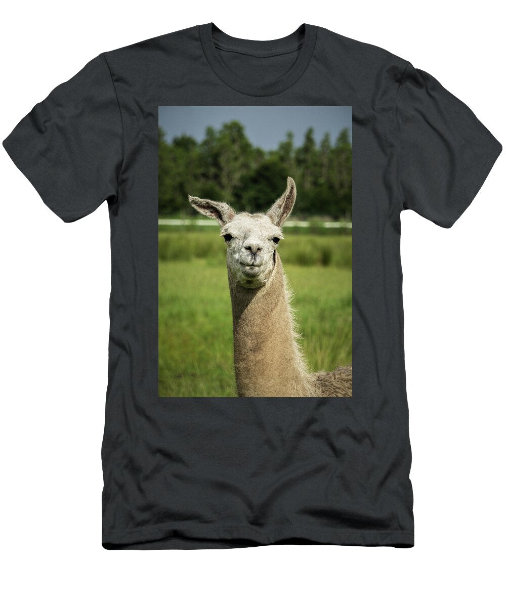 Curious Llama Jeremy Leonard T-Shirt