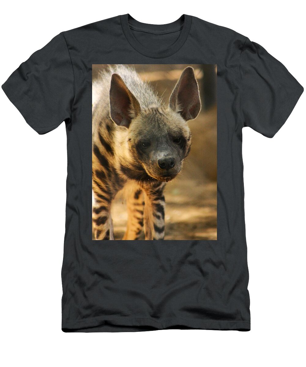 Curious Striped Hyena Brittney Powers T-Shirt