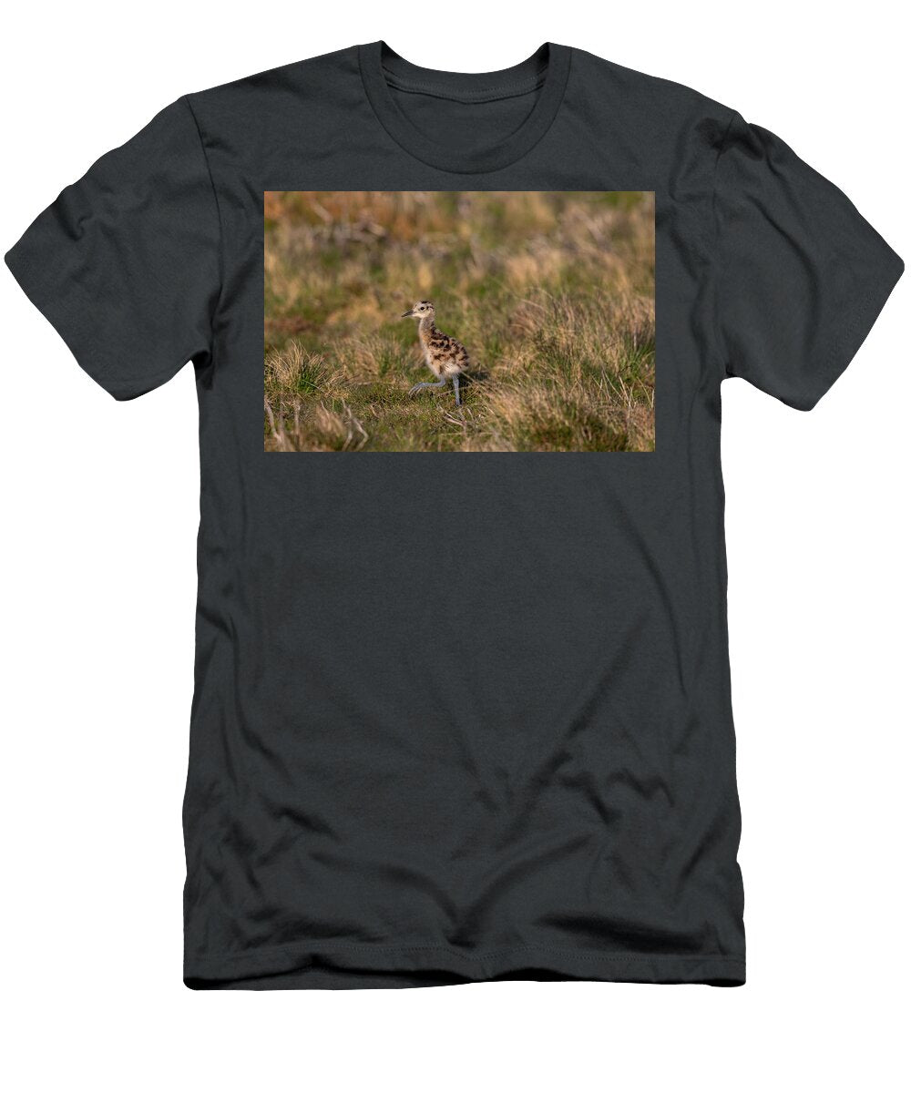 Curlew Chick North Pennines Area of Outstanding Natural Ann Steve Toon Natureplcom T-Shirt
